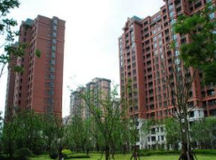 �_(d��)����ݼԷ