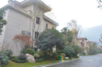 �VԪ�e���^(q��)�Ӊ���ˮ�Ŀ