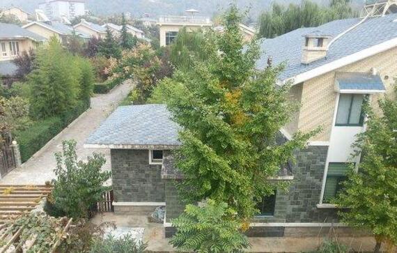 �S���ڄe��